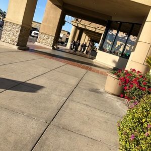 Meet your Posher, Daisy